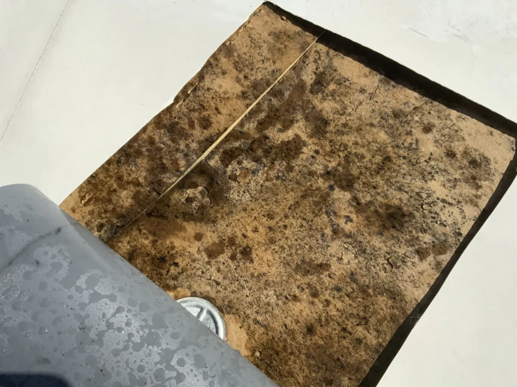Close-up of a deteriorated, water-damaged roofing membrane sample